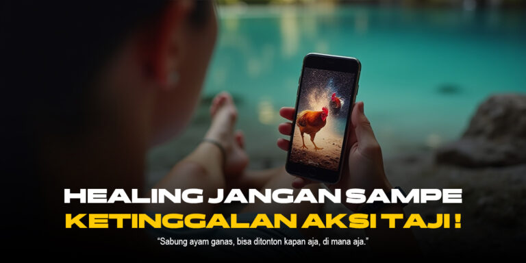 Mengupas Tuntas Sabung Ayam SV388: Jenis Ayam, Odds, dan Provider Terpercaya