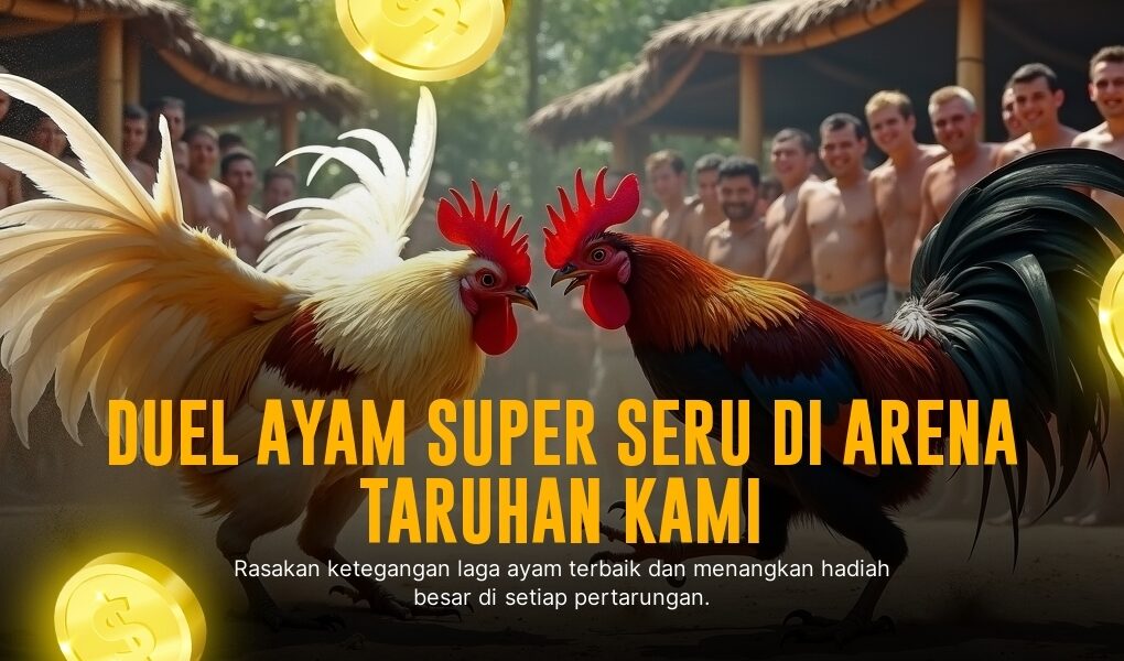 Mengenal Ayam Bangkok: Raja Sabung Ayam dengan Peluang Menang Tinggi di SV388