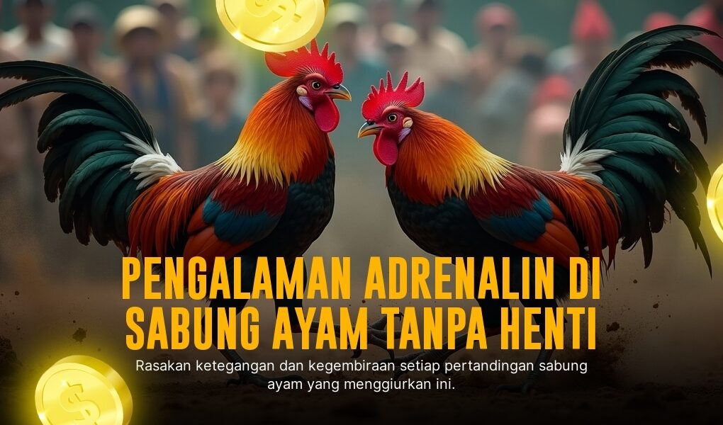 Membedah Sabung Ayam S128: Jenis Ayam Aduan Favorit dan Peluang Menang