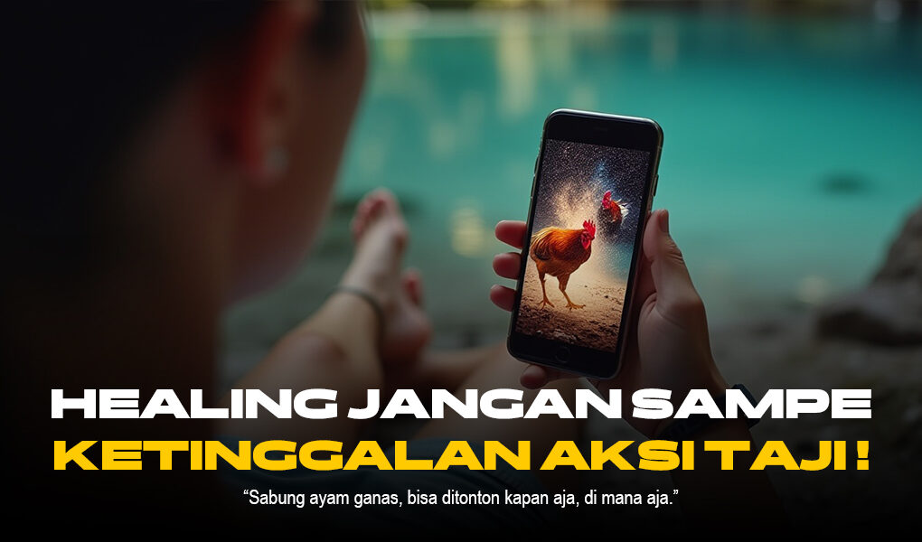 Mengupas Tuntas Sabung Ayam SV388: Jenis Ayam, Odds, dan Provider Terpercaya