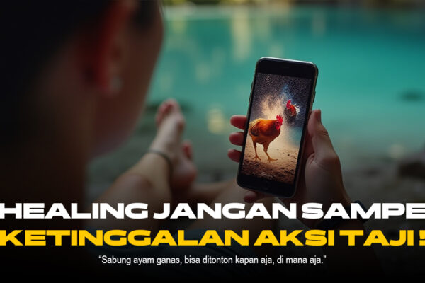 Mengupas Tuntas Sabung Ayam SV388: Jenis Ayam, Odds, dan Provider Terpercaya Mengupas Tuntas Sabung Ayam SV388: Jenis Ayam, Odds, dan Provider Terpercaya