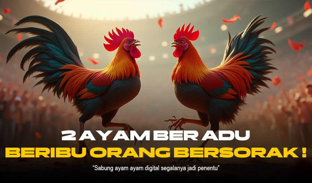 Serunya Sabung Ayam Dengan Provider SV388: Jenis Ayam, Peluang, dan Cara Bermain