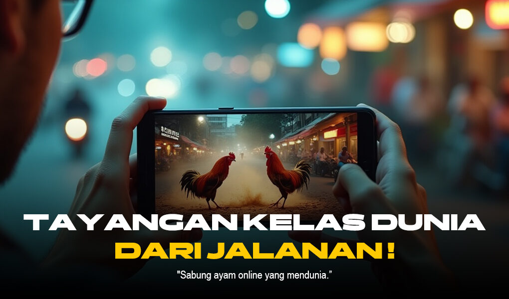 Prediksi Sabung Ayam S128: Jenis Ayam, Odds, dan Provider Terpercaya