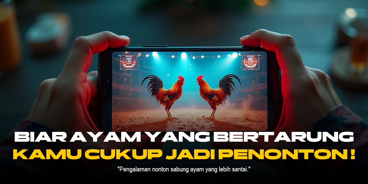 Rahasia Menang SABUNG AYAM SV388 dan Jenis Ayam Aduan